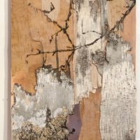 bark, collage, CT artist, natural materials